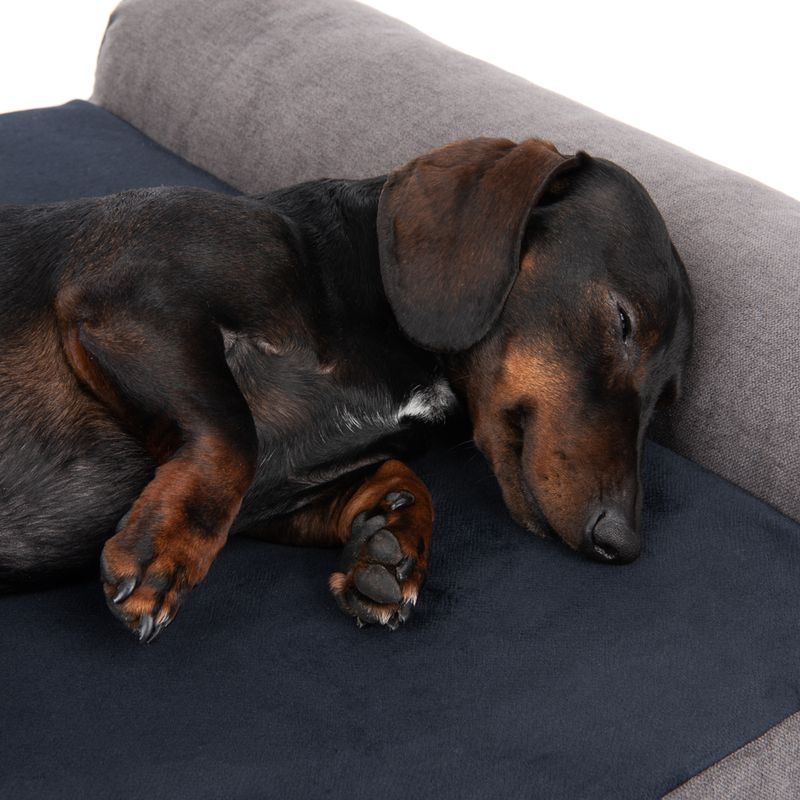 Modern Living Hundematratze Malbork zu TOP-Preisen