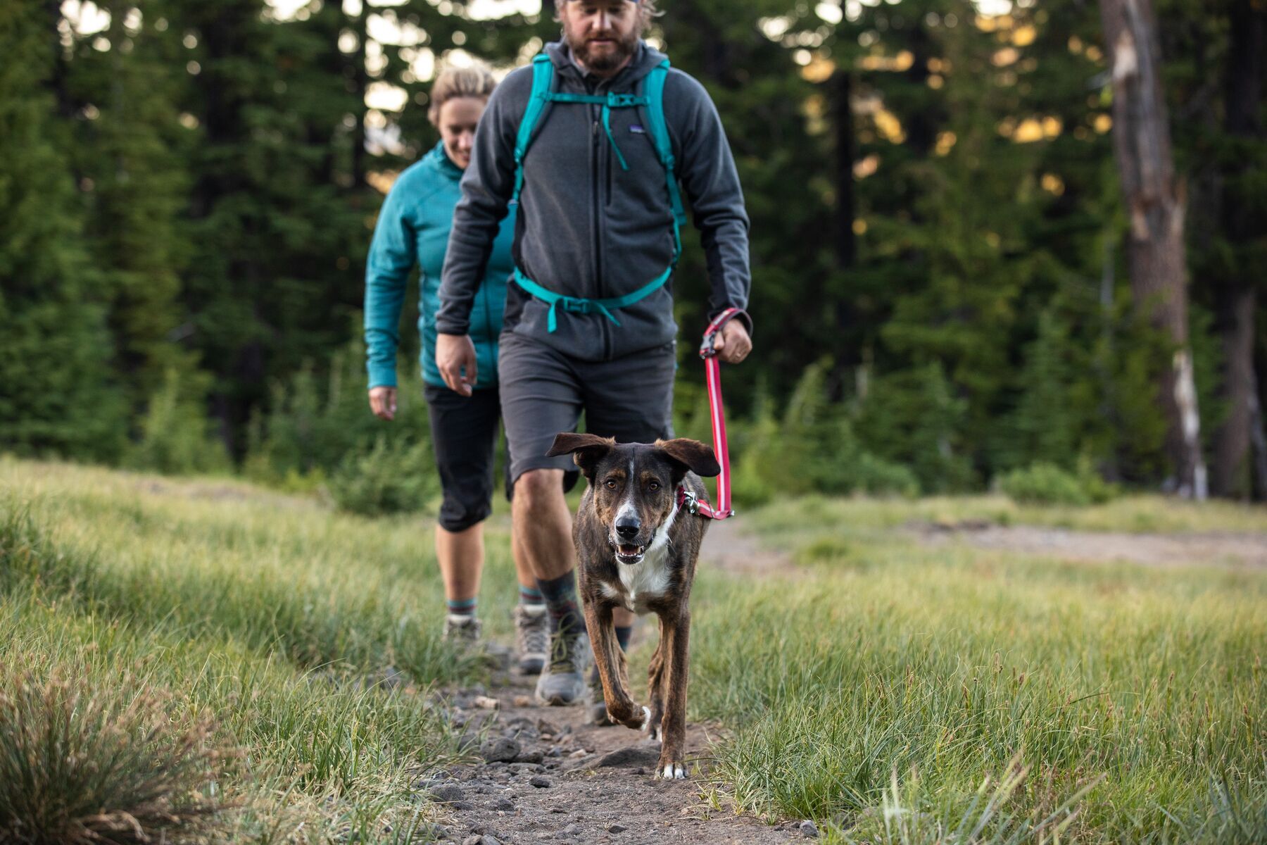Ruffwear Hundeleinen Ruffwear Crag™ Leine rot