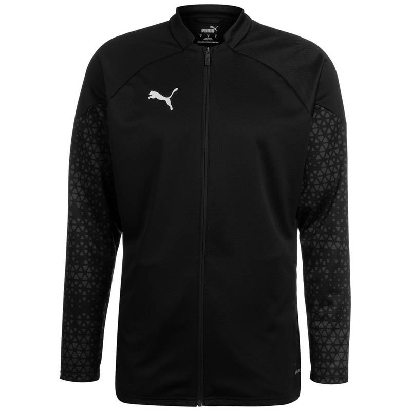 PUMA TeamCUP Trainingsjacke Herren