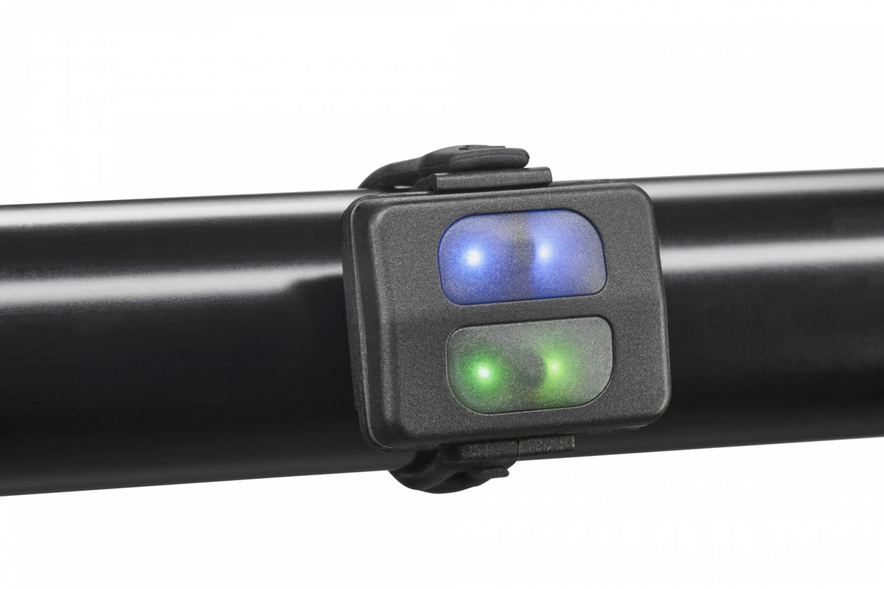 Lupine Peppi V5 Halter