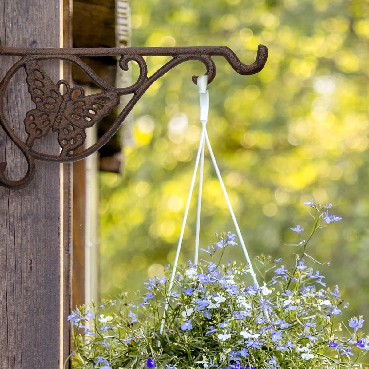 WILDLIFE FRIEND Wandhaken Wandhaken für Vogelfutterspender, Blumentopf & Vogeltränke, Braun A Gusseisen