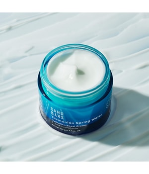 Sand & Sky Tasmanian Spring Water Hydration Boost Cream Gesichtscreme-60 g