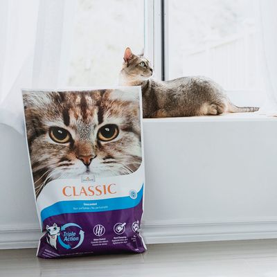 Intersand Classic Katzenstreu Parfümfrei