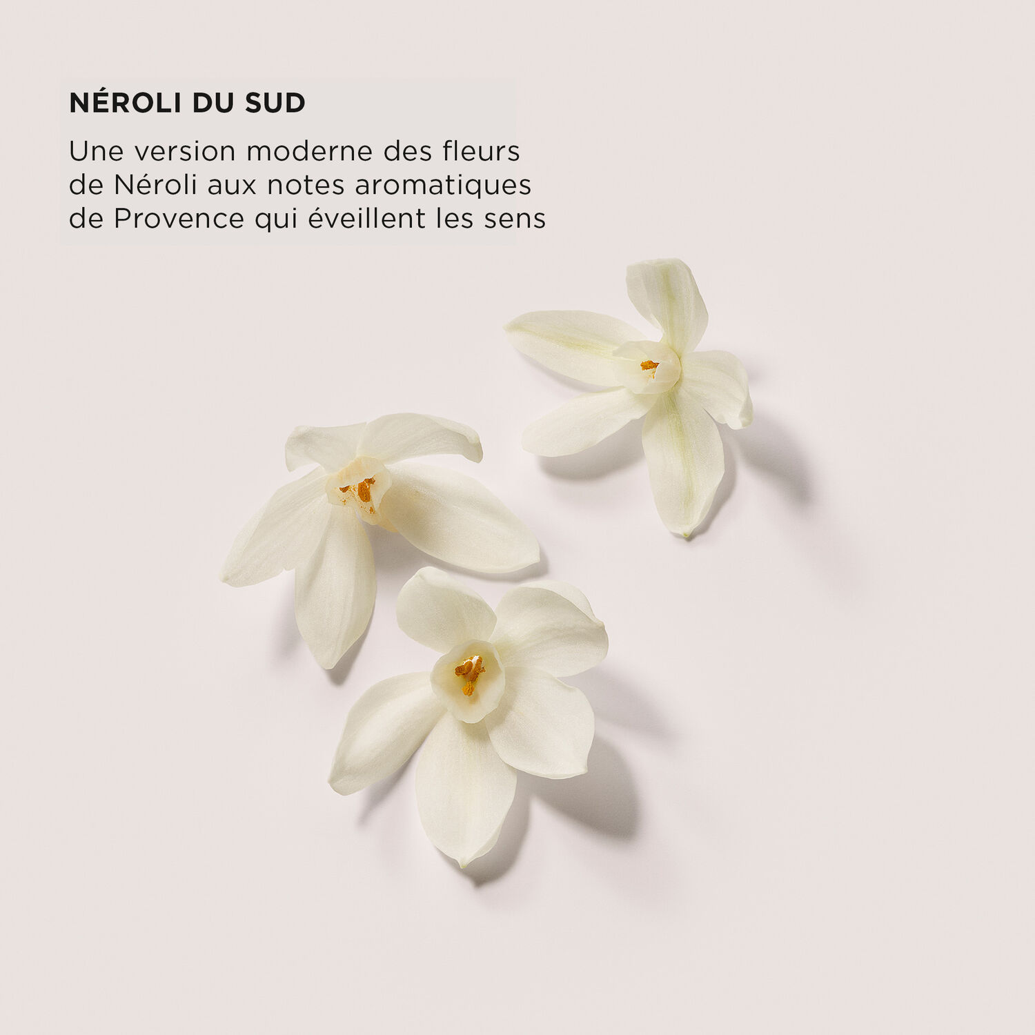 Laura Mercier Celestial Starlight Fragrance Trio Coffret Trio de Parfum