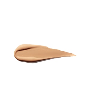 Shiseido Synchro Skin Self-Refreshing Concealer-5.8 ml