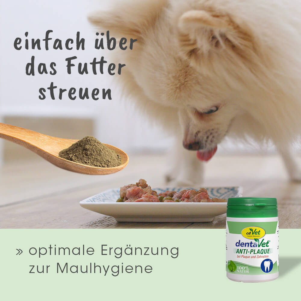 dentaVet Zahnpflege dentaVet Anti-Plaque