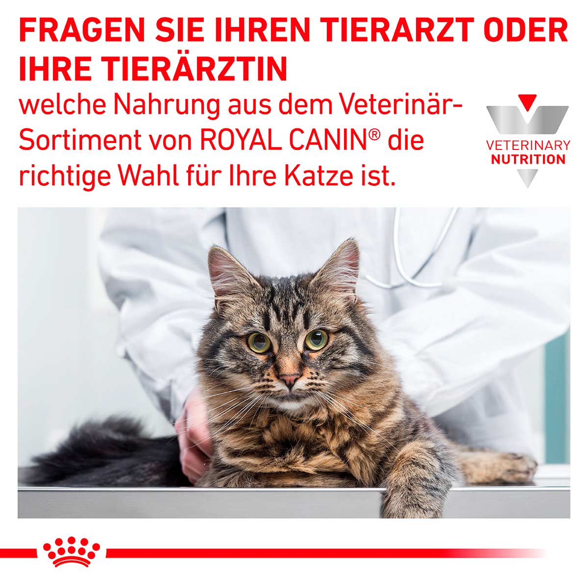 ROYAL CANIN Veterinary GASTROINTESTINAL Nassfutter für Katzen 12x85g