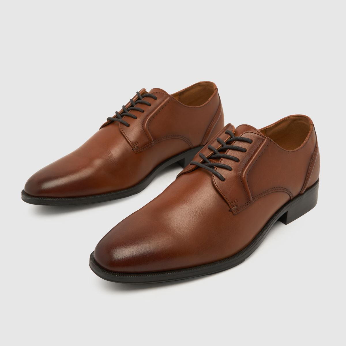 Usnjeni čevlji s čipko Schuh Reilly v rjavi barvi