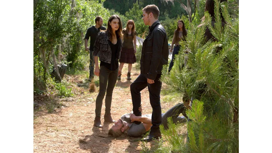 The Originals -  Die komplette Staffel 2  [5 DVDs]