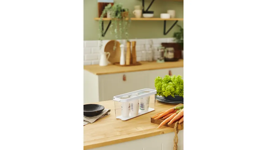 rotho Kühlschrankorganizer 1,15l Cauma