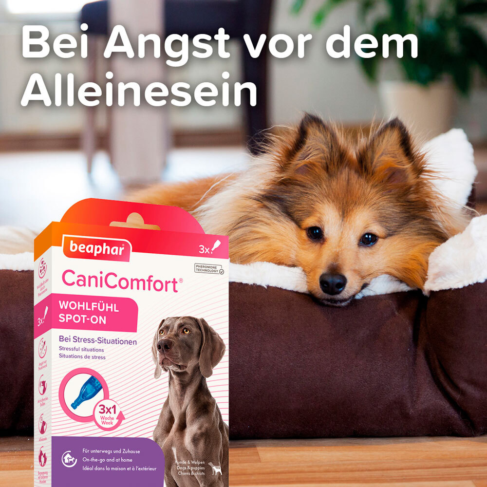 Beaphar Beruhigungsmittel Beaphar CaniComfort Wohlfühl Spot-On 3x1 ml