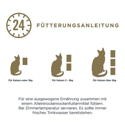Sparpaket Encore Cat Pouch 48 x 70 g
