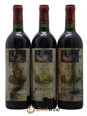 Château Siran  1995 - Lot de 3 Bouteilles