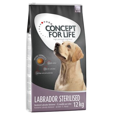 Sparpaket Concept for Life 2 x Großgebinde