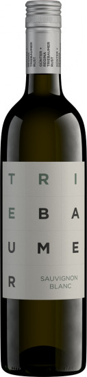 2022 Sauvignon Blanc Rust trocken - Weingut Triebaumer