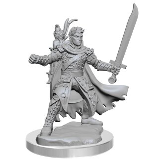 D&D Frameworks: Male Half-Elf Ranger (2)