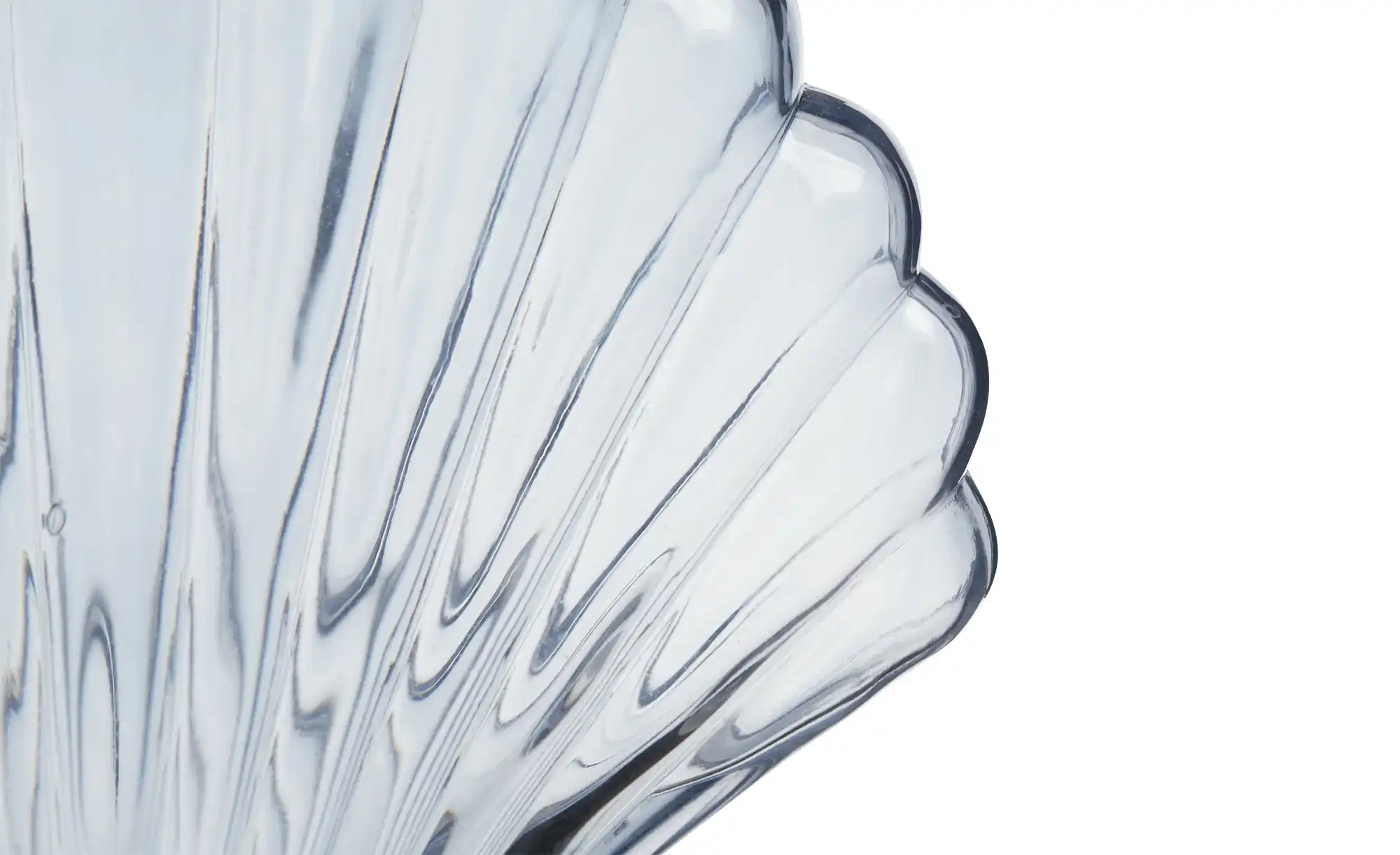 Vase Muschel