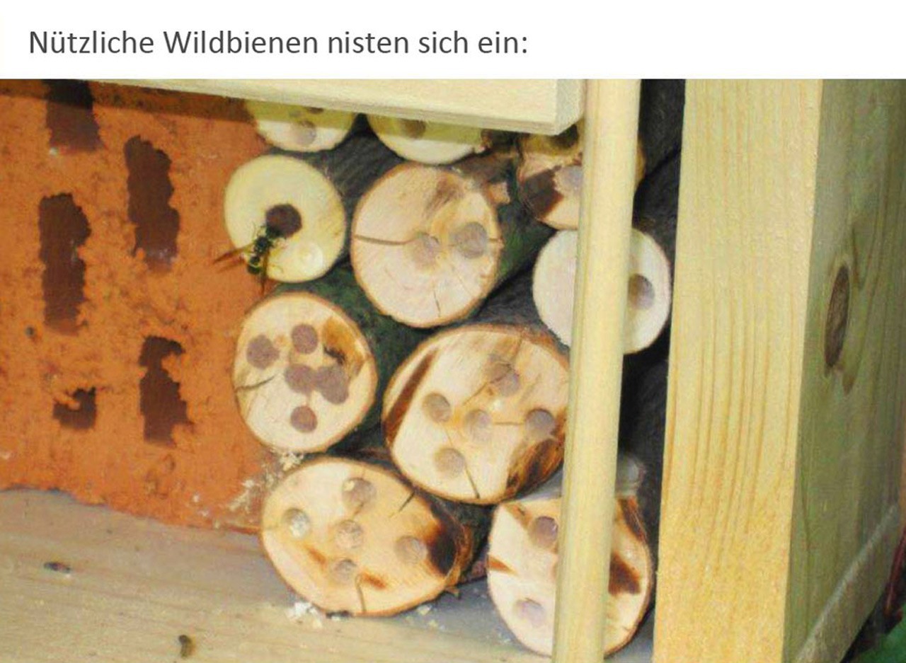 Luxus-Insektenhotels Luxus-Insektenhotel 