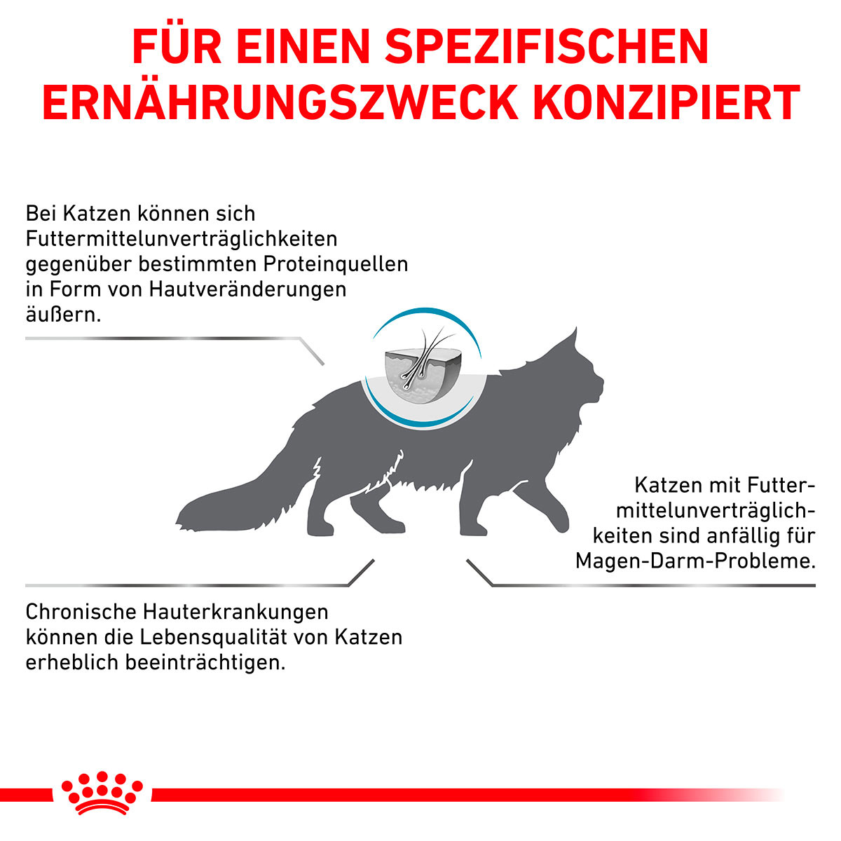 ROYAL CANIN Veterinary HYPOALLERGENIC Trockenfutter für Katzen