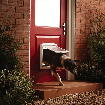 PetSafe® Staywell® Haustiertür Original