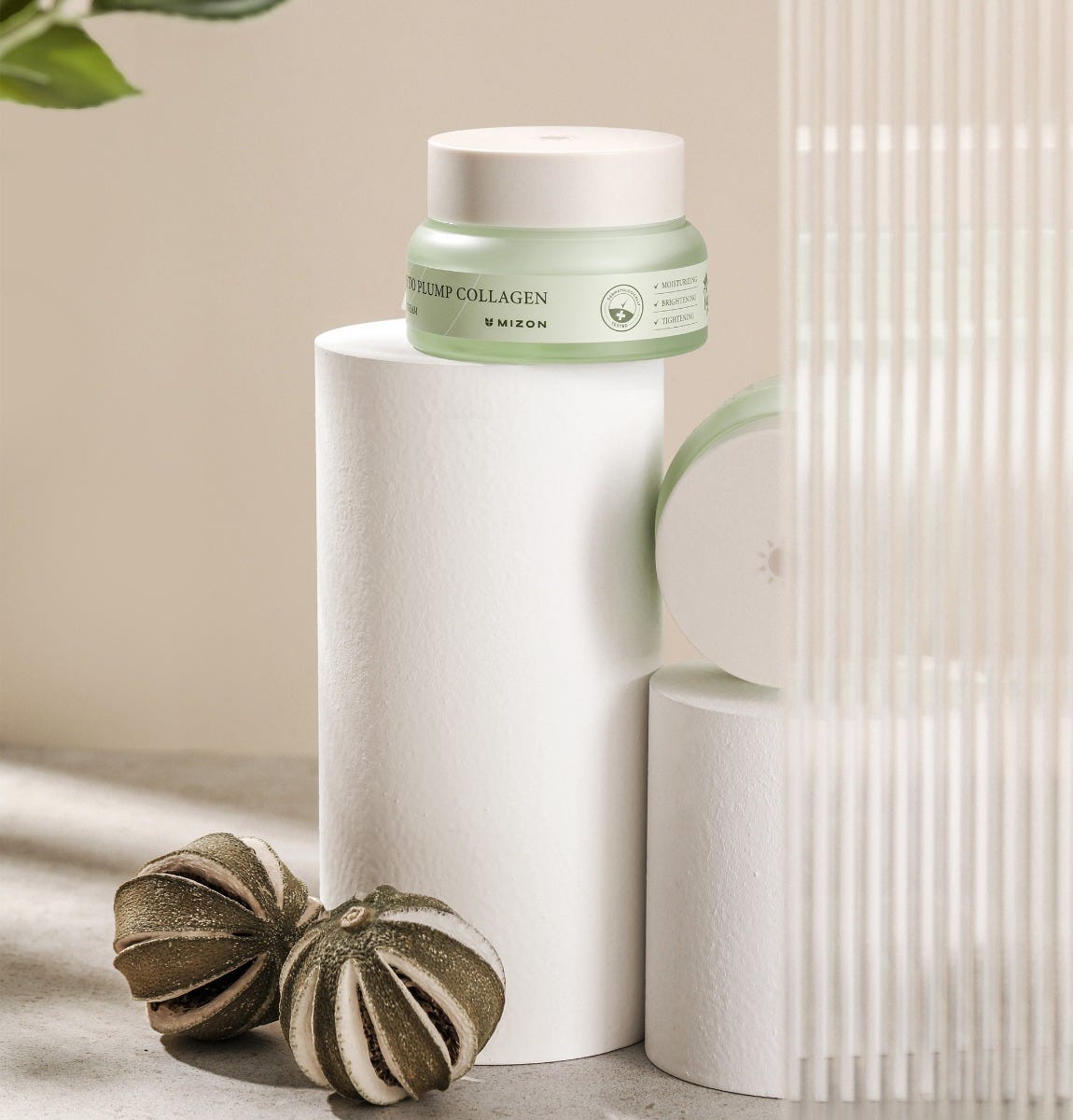 Mizon Phyto Plump Collagen Day Cream 50 ml