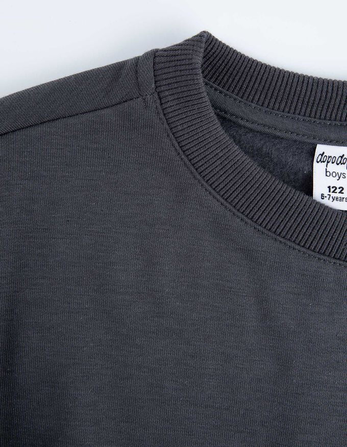 Sweatshirt - Print