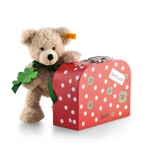 Fynn Teddybär im Koffer