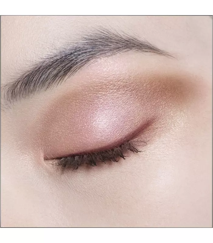 DIORSHOW 5 COULEURS  Palette Yeux - Texture crémeuse - Longue tenue et confort