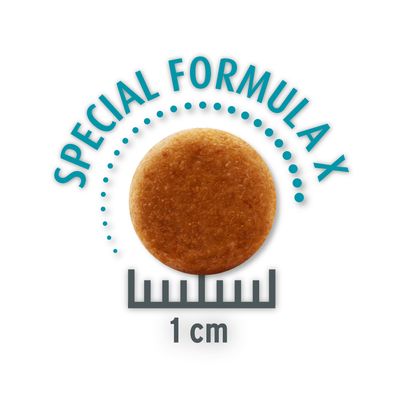 10 + 2 kg gratis! 12 kg Concept for Life für Katzen im Bonusbag