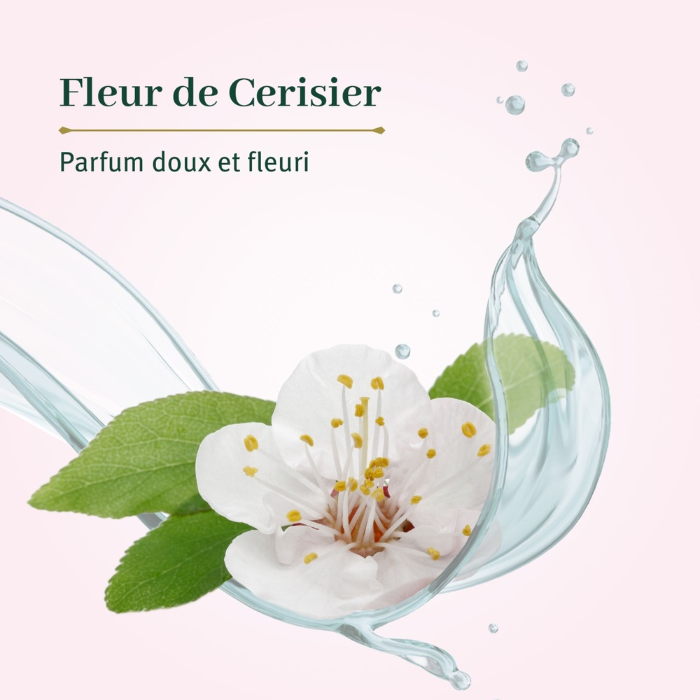 le petit olivier Crème Douche Fleur de Cerisier Crème Douche Extra Douce & Hydratante