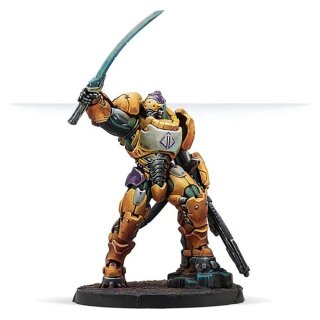 Reinforcement: Haetae Unit (HMG)