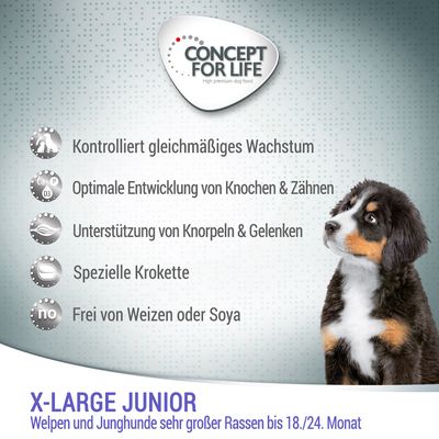 Concept for Life X-Large Junior