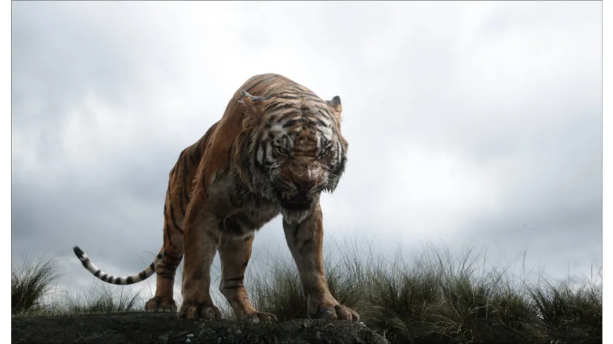 The Jungle Book