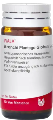 BRONCHI PLANTAGO Globuli velati  20 g  Globuli