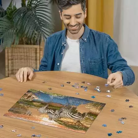 Puzzle 500 Teile - Zebras am Wasserloch