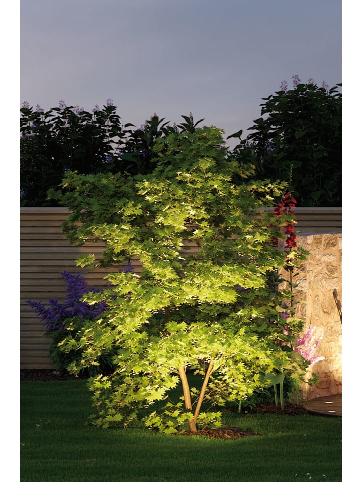 paulmann Bundle Plug & Shine LED Gartenstrahler Sting günstig kaufen onesize