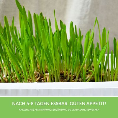 GimCat Hydro-Gras 150 g