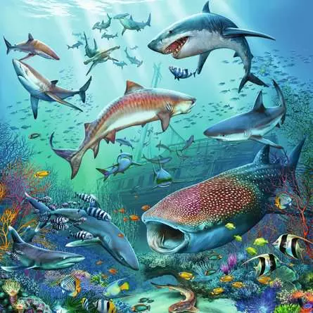 Kinderpuzzle ab 5 Jahren - Tierwelt des Ozeans - 49 Teile