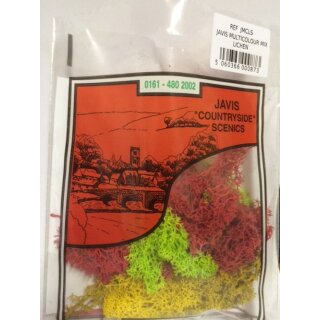 Multi Colour Lichen
