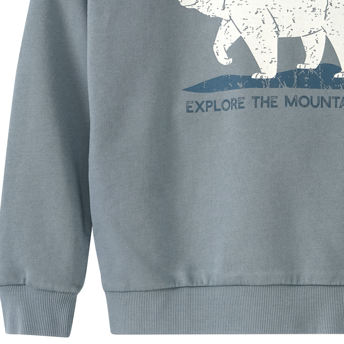 Jungen Sweatshirt mit Front-Print