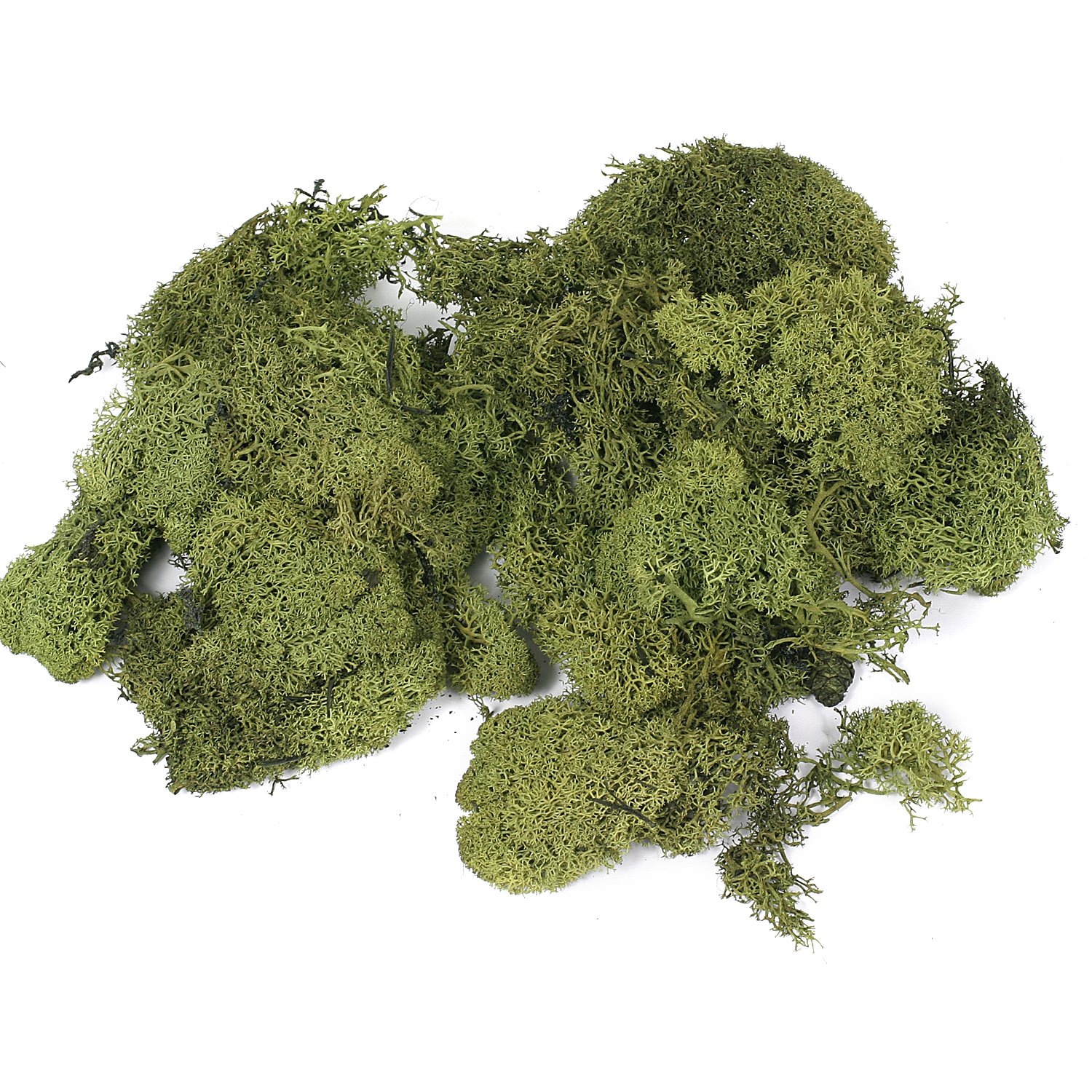 Islandmoos, grün, 100 g