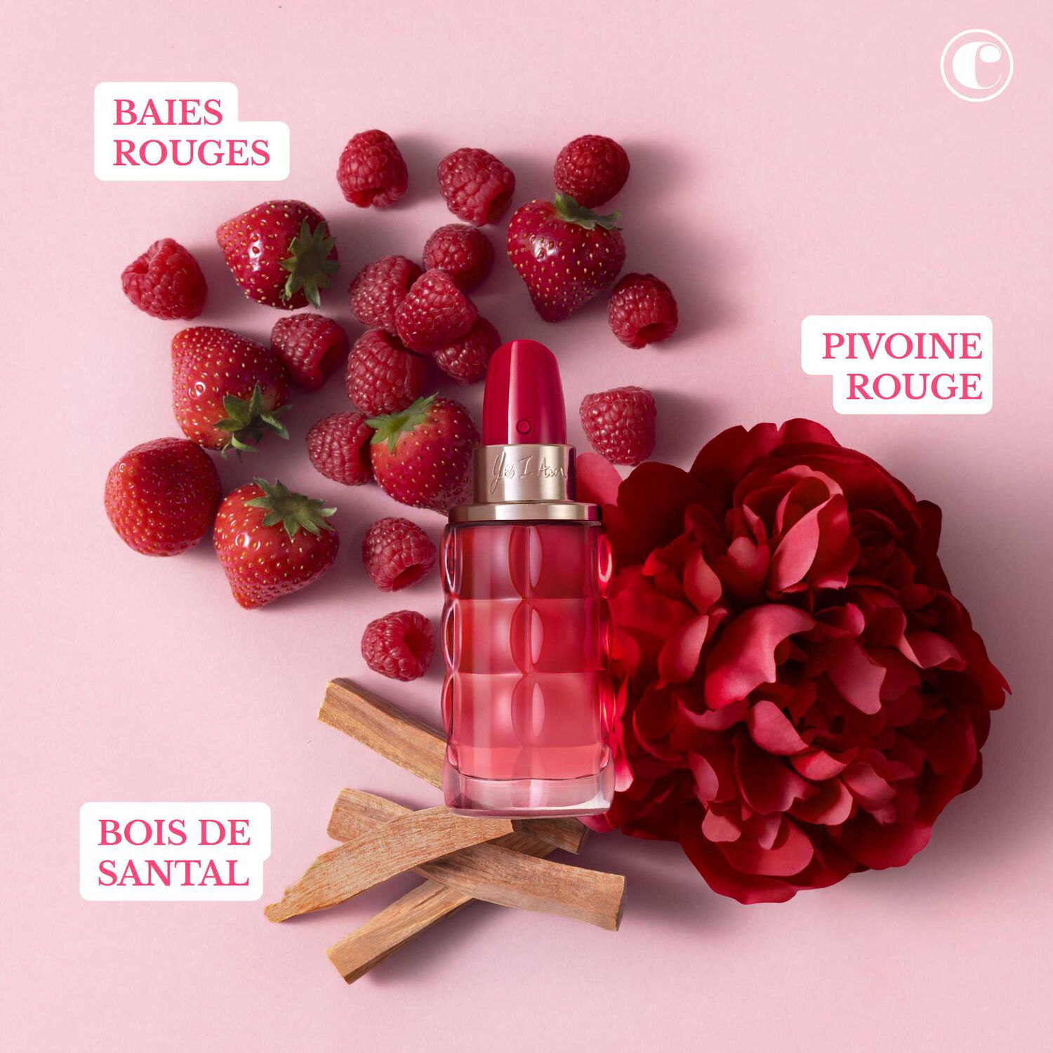 Cacharel Yes I Am Bloom Up ! Eau de Parfum Fleurie et Fruitée