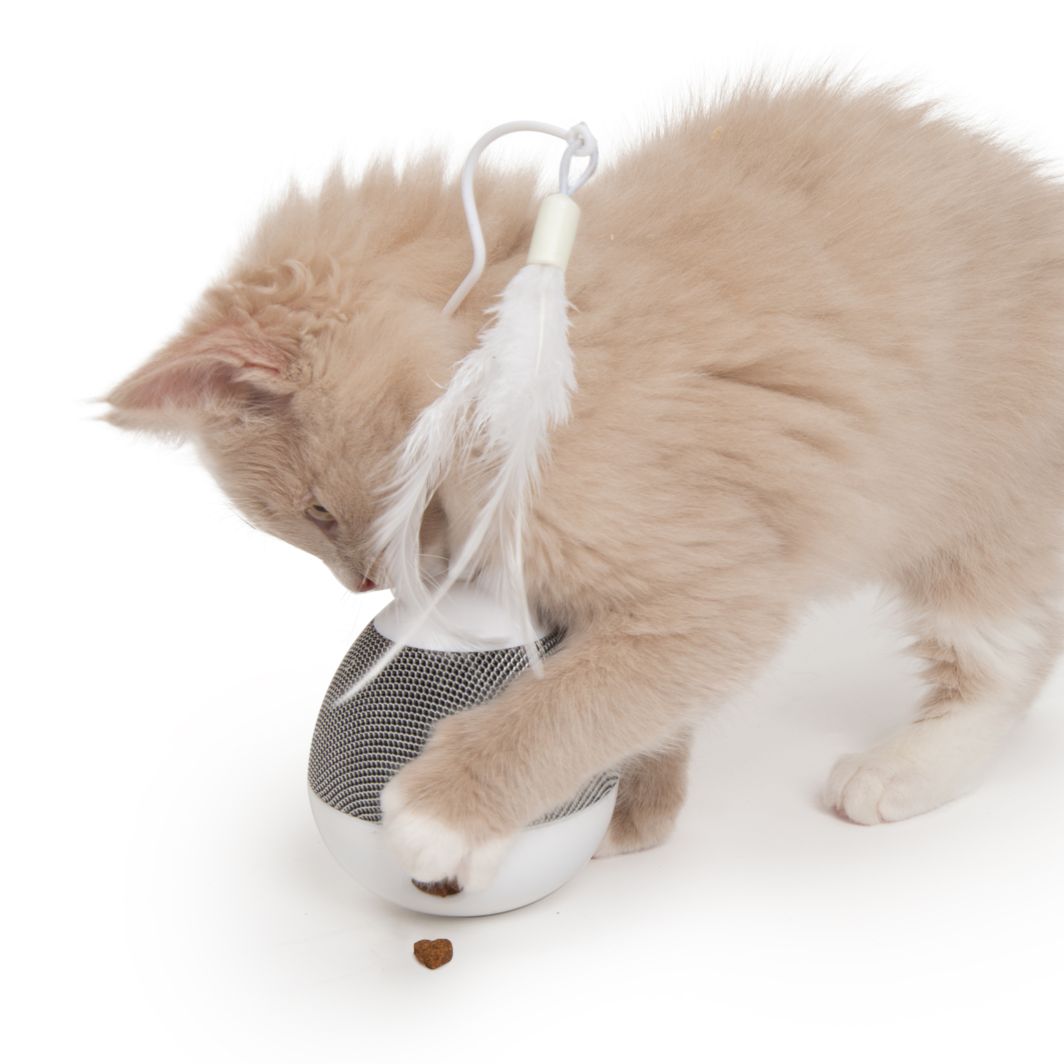 Catit Katzenangeln Catit Pixi Kreisel Pfotenaktiviert