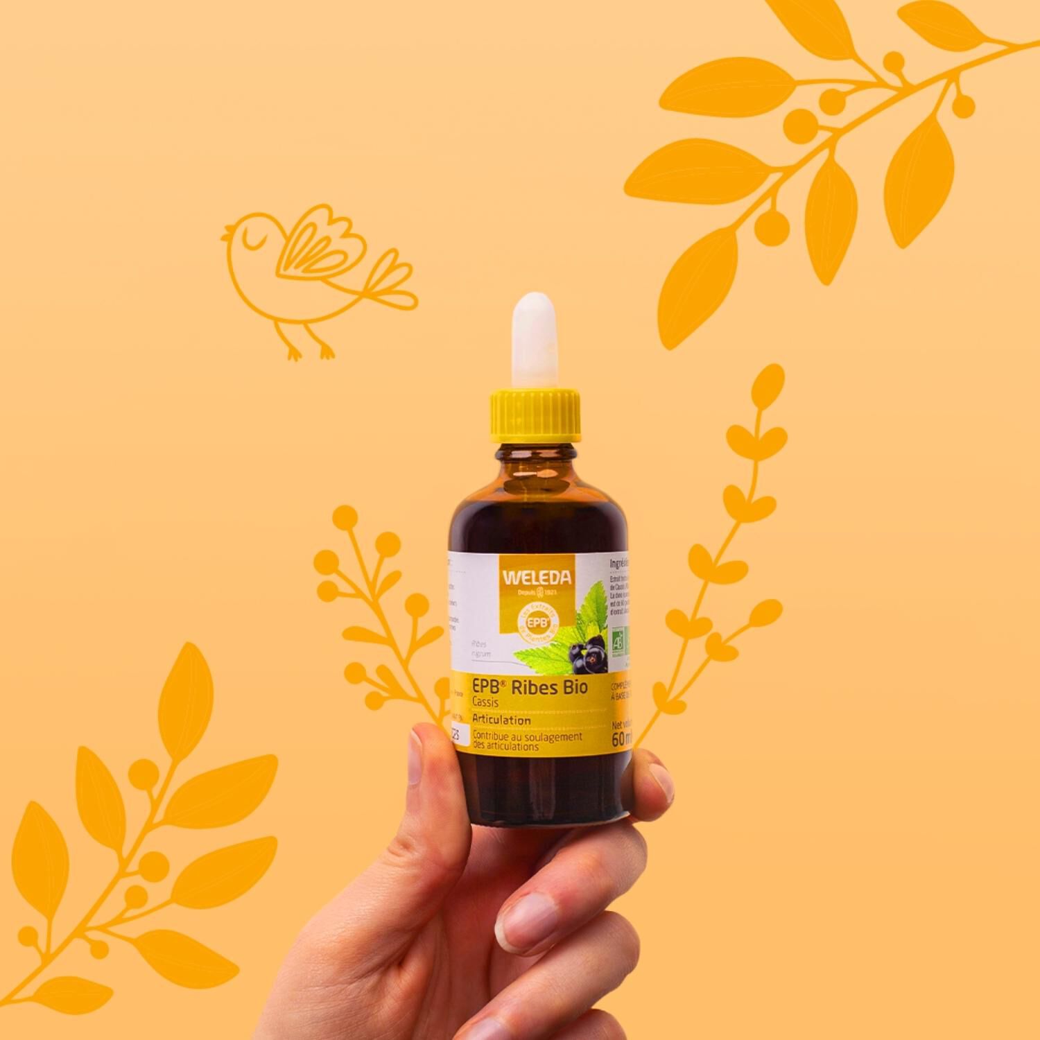 Weleda EPB® Ribes Bio Complément Alimentaire Naturel - 60 ml