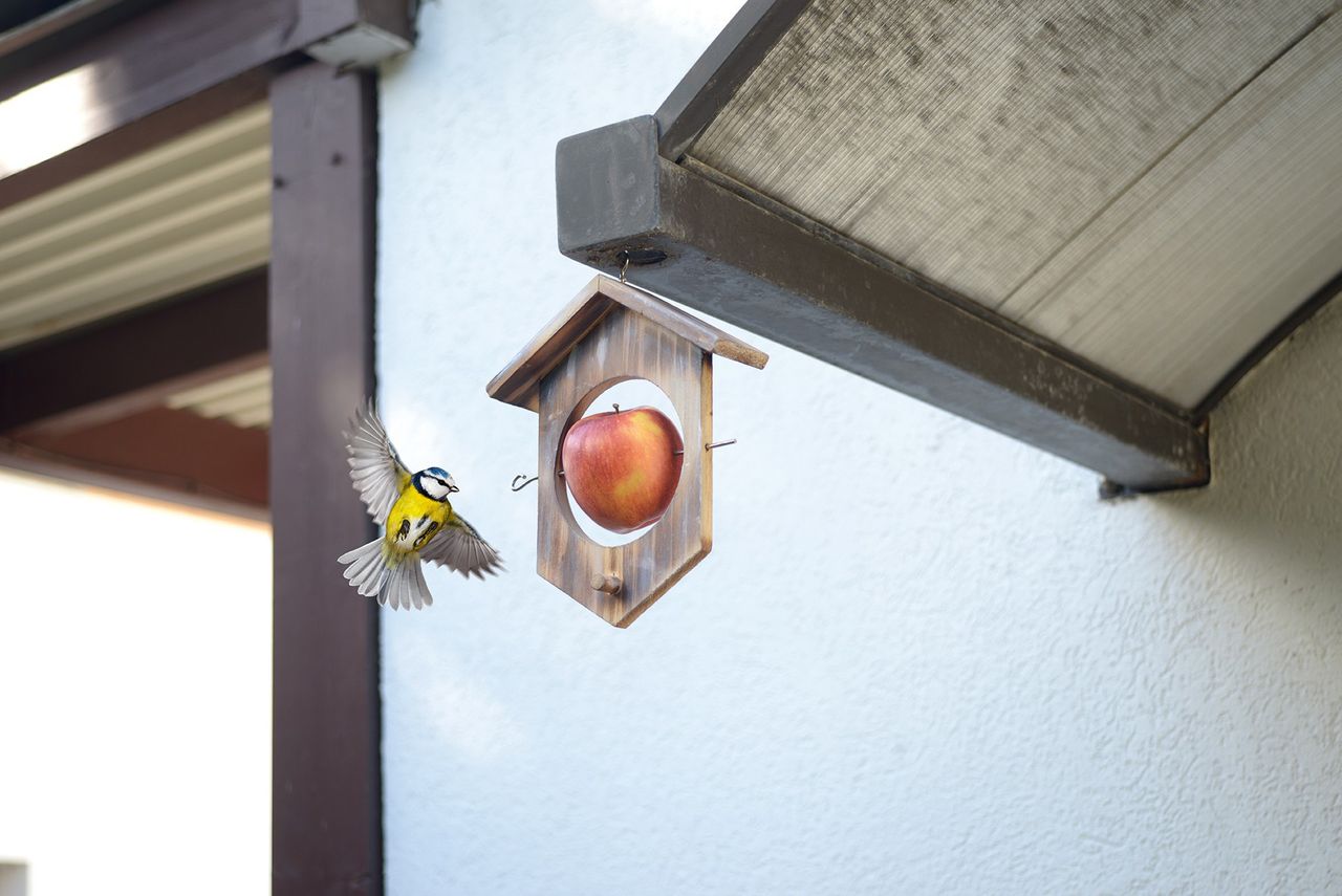 Gardigo Apfel Futterstation