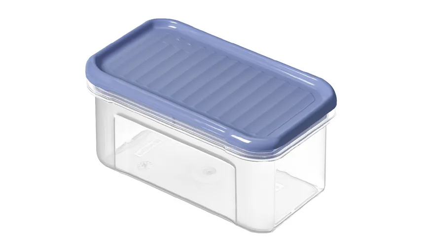 rotho Domino Vorratsdose horizon blue 0,5l horizon blue