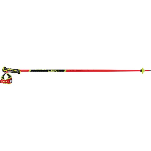 HERREN ALPIN-SKISTOCK WCR TBS SL 3D