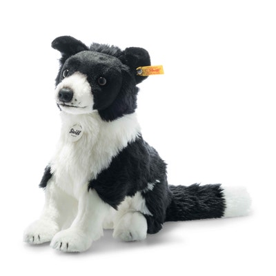 Jaycee Border Collie , 28 cm, schwarz