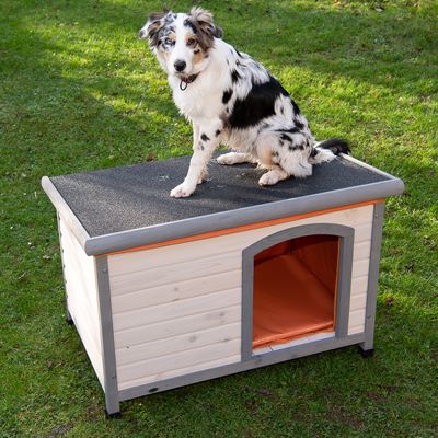 Spar-Komplettset: Trixie Natura Flachdach-Hundehütte Classic mit Isolierung