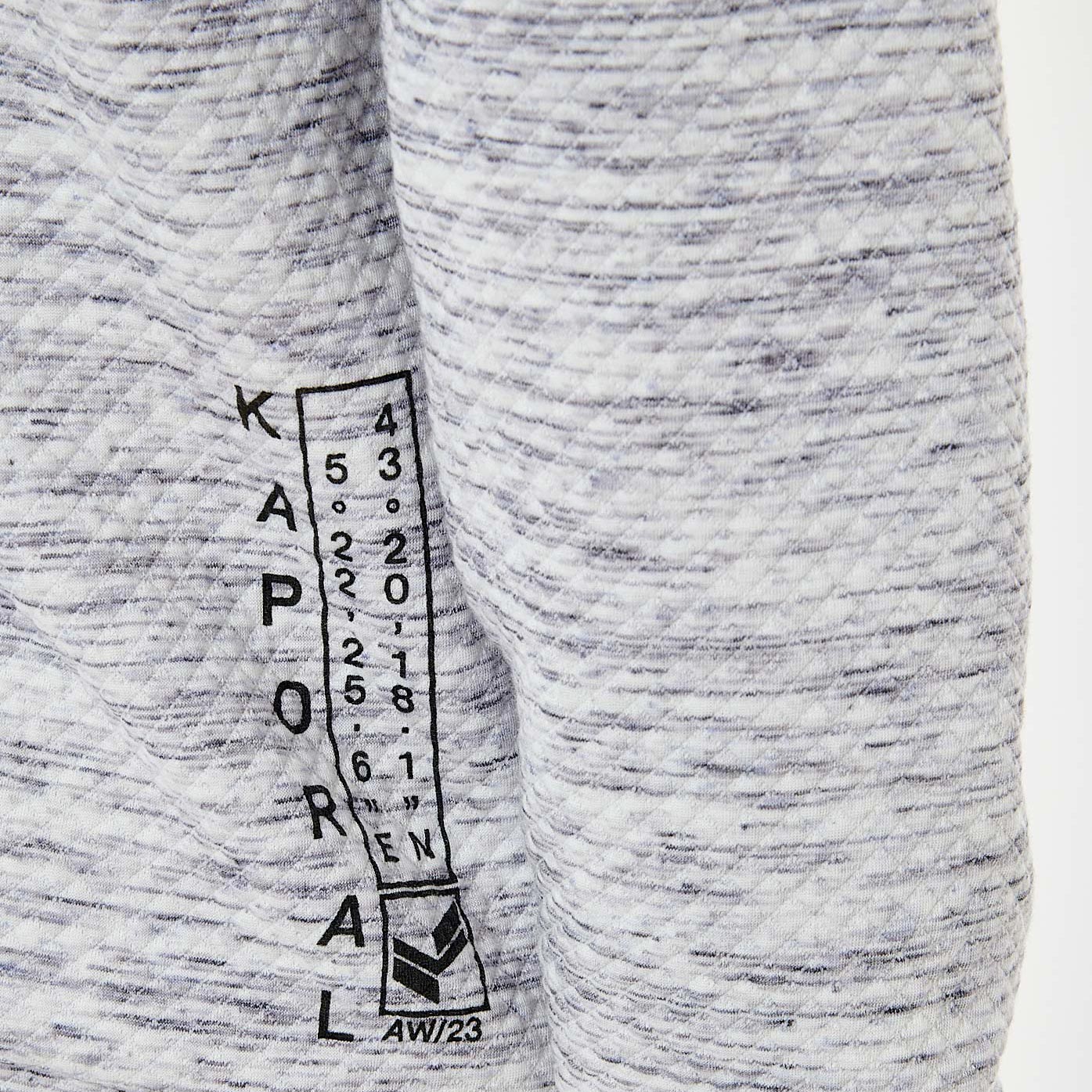 THEO   Sweat zippé gris homme